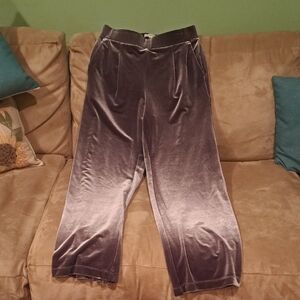 LOFT Velvet Trousers in greenish or purplish gray